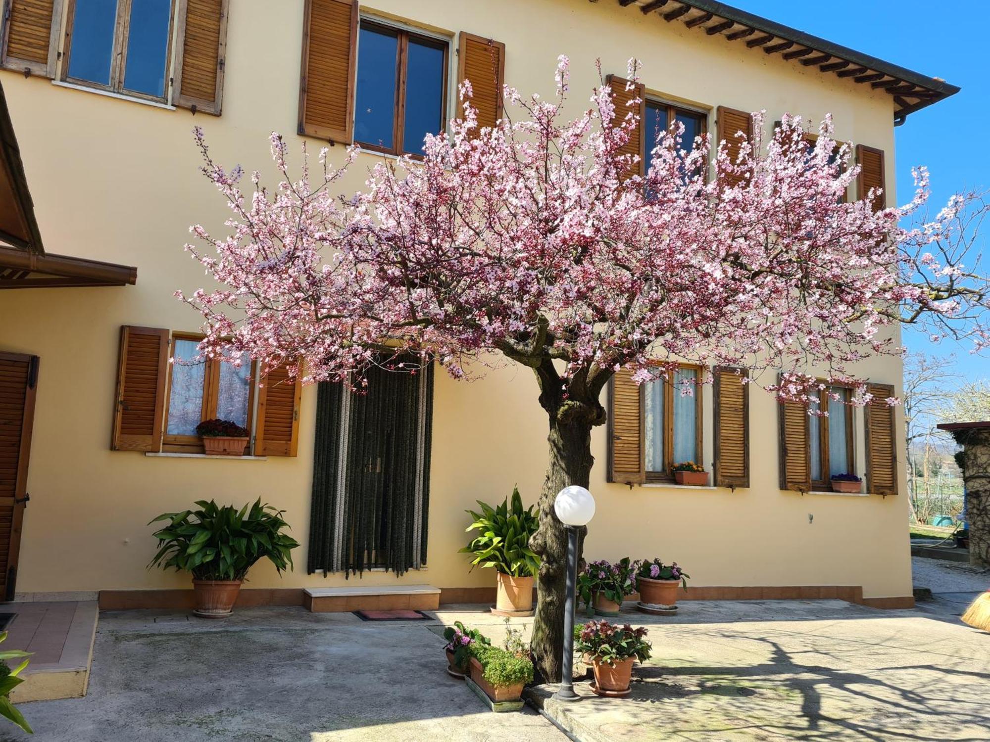 B&B Barbara Assisi Cannara Exterior foto
