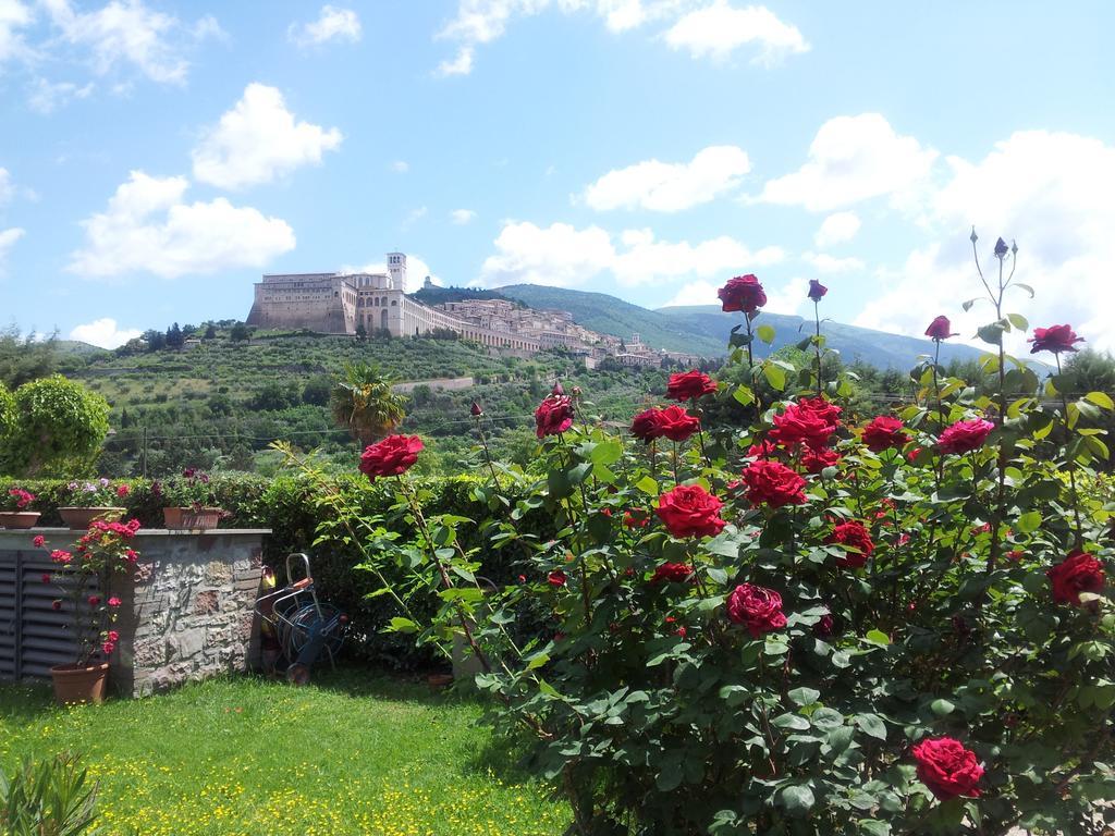 B&B Barbara Assisi Cannara Quarto foto
