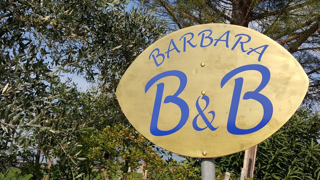 B&B Barbara Assisi Cannara Exterior foto