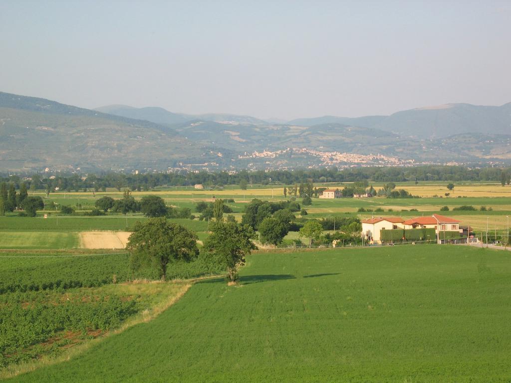 B&B Barbara Assisi Cannara Exterior foto