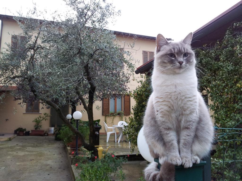 B&B Barbara Assisi Cannara Exterior foto